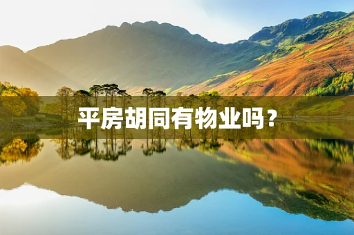 平房胡同有物业吗？