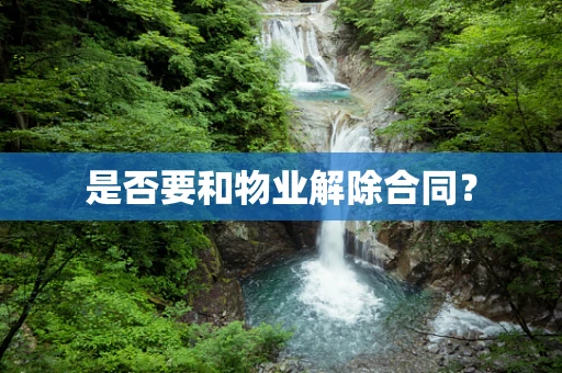 是否要和物业解除合同？