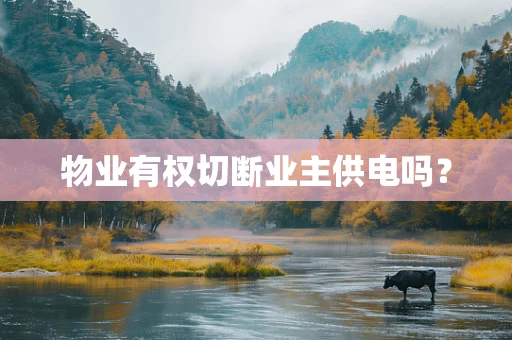 物业有权切断业主供电吗？