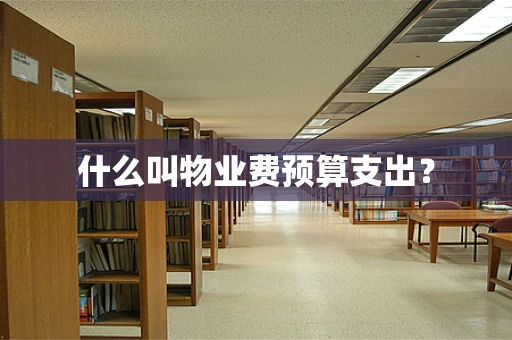 什么叫物业费预算支出？