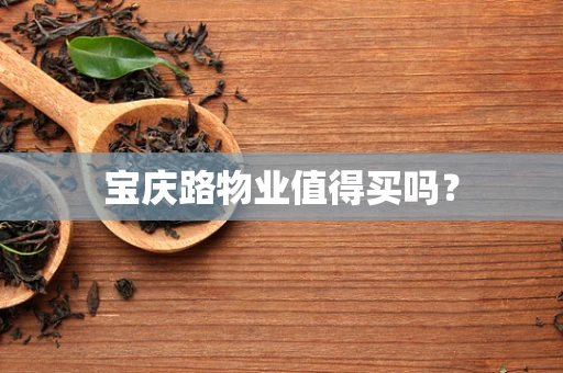 宝庆路物业值得买吗？