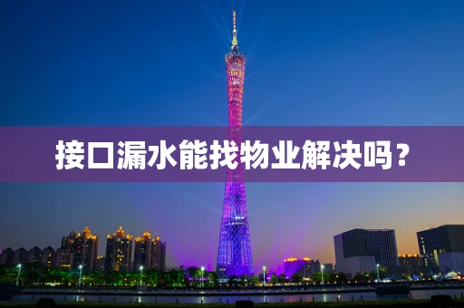 接口漏水能找物业解决吗？