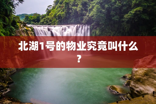 北湖1号的物业究竟叫什么？
