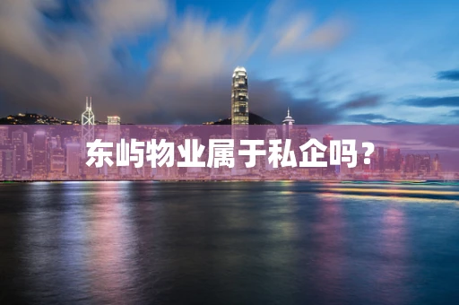 东屿物业属于私企吗？