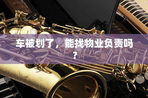 车被划了，能找物业负责吗？