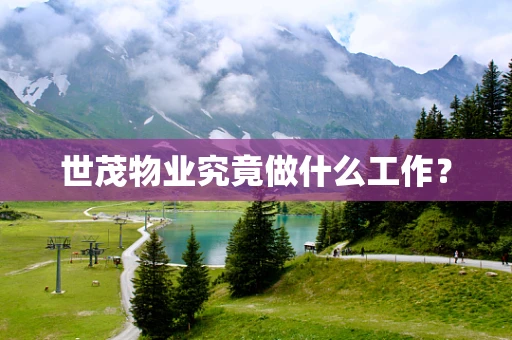 世茂物业究竟做什么工作？