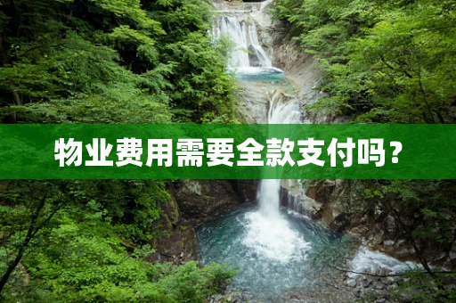 物业费用需要全款支付吗？