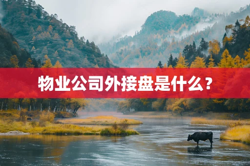 物业公司外接盘是什么？