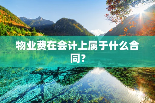 物业费在会计上属于什么合同？