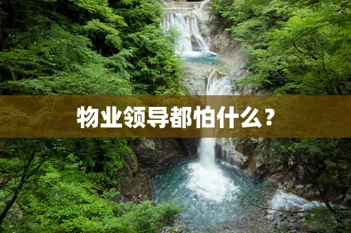 物业领导都怕什么？
