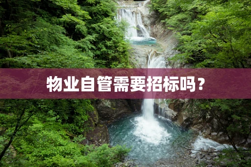 物业自管需要招标吗？