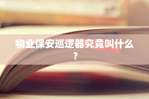 物业保安巡逻器究竟叫什么？