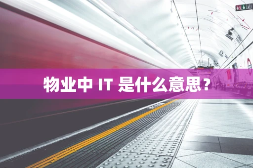 物业中 IT 是什么意思？