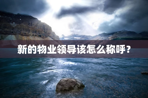 新的物业领导该怎么称呼？