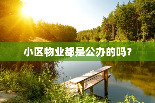 小区物业都是公办的吗？
