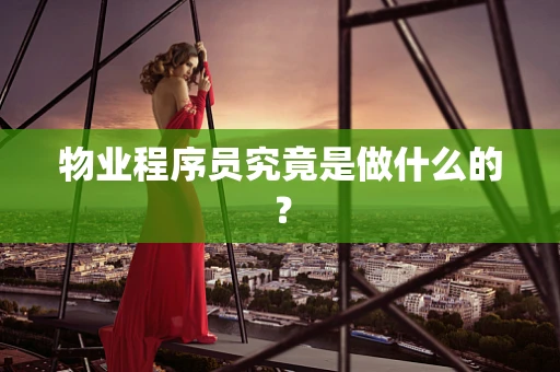 物业程序员究竟是做什么的？