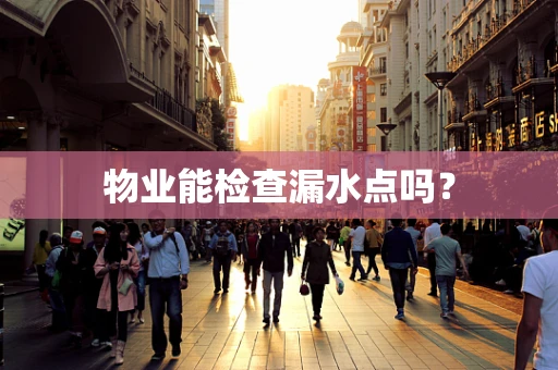 物业能检查漏水点吗？