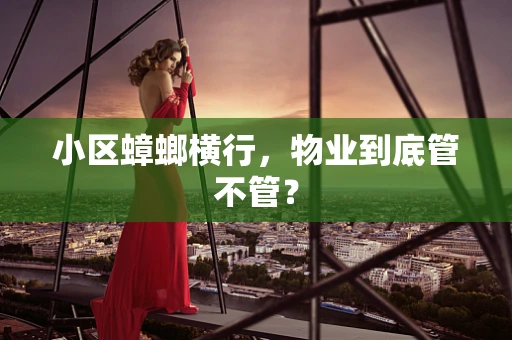小区蟑螂横行，物业到底管不管？