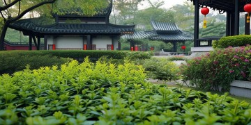 文华园是否有专业物业管理？