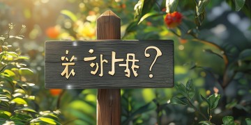 业主可以叫物业做什么吗？