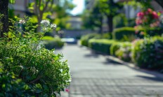 物业停车费可以申请减免吗？
