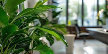 物业公司前台做什么能更出色？